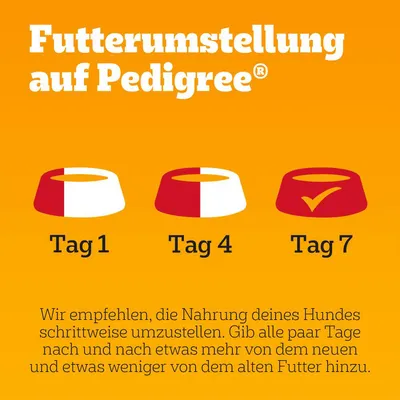 Futterumstellung auf Pedigree: Tag 1 wenig neues Futter, Tag 4 Hälfte-Hälfte, Tag 7 komplett neues Futter. Empfehlung: schrittweise Umstellung durch Mischung von altem und neuem Futter.