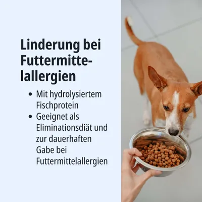 Linderung bei Futtermittelallergien mit hydrolysiertem Fischprotein. Geeignet als Eliminationsdiät und zur dauerhaften Gabe bei Futtermittelallergien. Linderung bei Futtermittelallergien mit hydrolysiertem Fischprotein. Geeignet als Eliminationsdiät und zur dauerhaften Gabe bei Futtermittelallergien.
