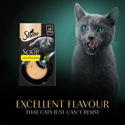 Sheba Soup with Chicken, pack of 4 x 40g. Text reads: Excellent flavour that cats just can't resist.