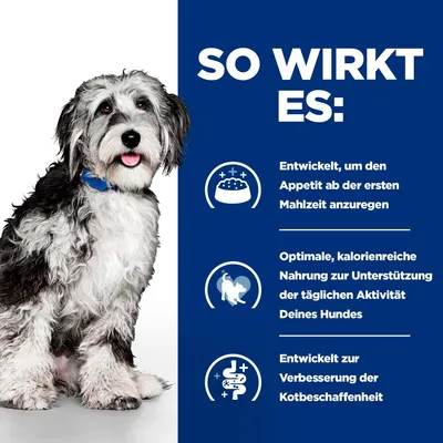 Texte en allemand : développé pour stimuler l’appétit dès le premier repas, alimentation riche en calories pour soutenir l’activité quotidienne du chien, améliore la qualité des selles.