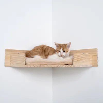 Chat roux et blanc allongé sur une étagère murale en bois avec coussin beige, fixée dans un angle de pièce. Matériaux visibles : bois, tissu.