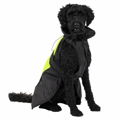 Schwarzer Hund trägt eine schwarze und neongelbe Regenjacke mit Kapuze. Produkt zeigt Schutzkleidung für Hunde.