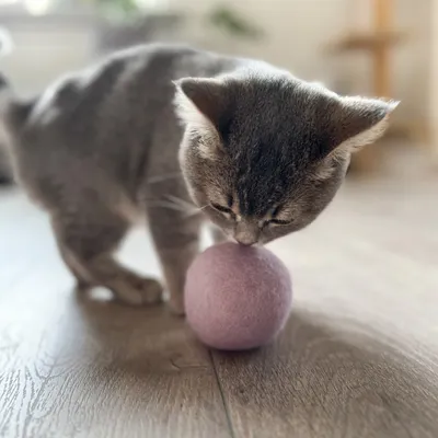 Aumüller naturlig ullfiltball