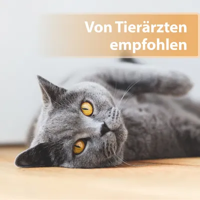 Von Tierärzten empfohlen.