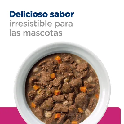 Texto: Delicioso sabor irresistible para las mascotas. Plato blanco con comida húmeda de trozos de carne y verduras visibles.