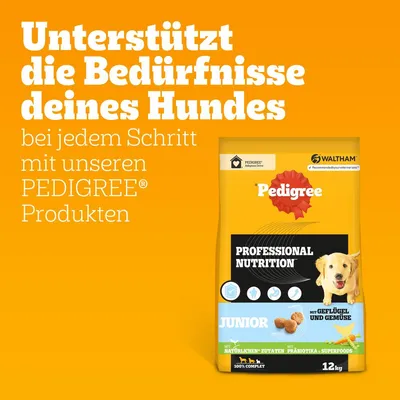 Pedigree Professional Nutrition Junior s perutnino in zelenjavo, naravne sestavine, prebiotiki, superživila.