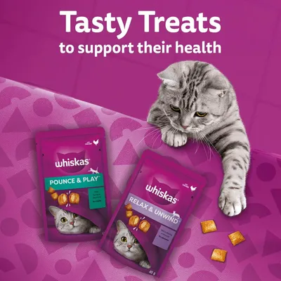 Whiskas Groom & Care Adult Cat Treats with Chicken Whiskas Groom & Care Adult Cat Treats with Chicken