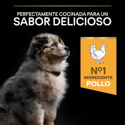 Perfectamente cocinada para un sabor delicioso. Nº1 ingrediente pollo.