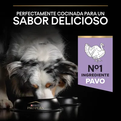 Perfectamente cocinada para un sabor delicioso. Nº1 ingrediente pavo. Purina Pro Plan. Imagen de perro comiendo en cuenco negro.