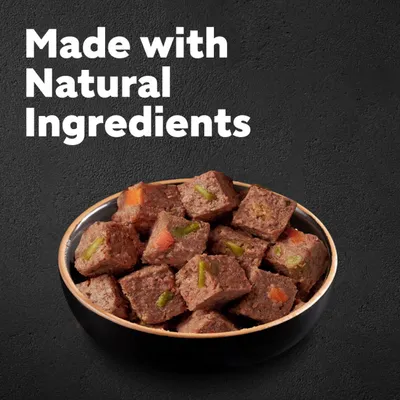 Cesar Natural Goodness Terrine Mixed Selection - 24 x 100g Cesar Natural Goodness Terrine Mixed Selection - 24 x 100g
