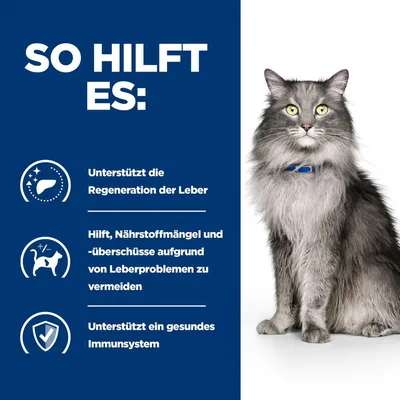 So hilft es: Unterstützt die Regeneration der Leber, hilft Nährstoffmängel und -überschüsse aufgrund von Leberproblemen zu vermeiden, unterstützt ein gesundes Immunsystem.