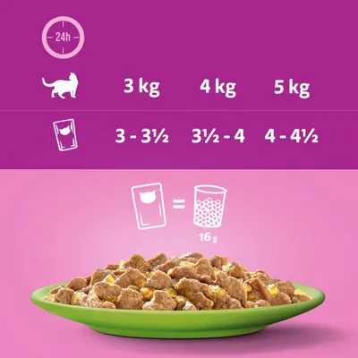 Feeding guide showing daily portions by weight: 3kg needs 3 to 3.5 pouches, 4kg needs 3.5 to 4, 5kg needs 4 to 4.5. One pouch equals 16g of dry food.