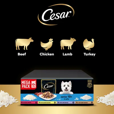 Cesar 10+ Senior Selection in Jelly