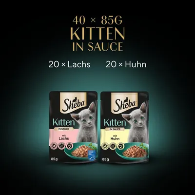 Sheba Kitten u umaku, 40 x 85g. 20 x losos, 20 x piletina. Dva pakiranja s motivom mačke i prikazom sastojaka.