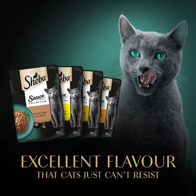 Sheba Sauce Collection macskaeledel tasakok, 85 g, sauce lover with duck felirattal. Excellent flavour that cats just can’t resist szöveg angolul.