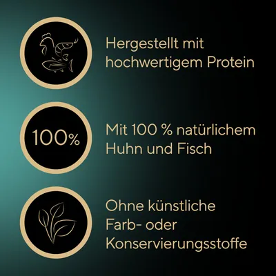 Sheba Filets 16 x 60 g