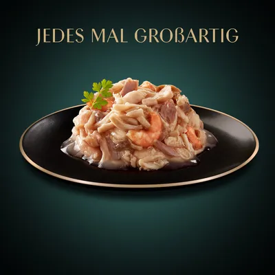 Sheba Filets 16 x 60 g