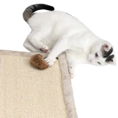Weisse Katze spielt mit braunem Spielzeug auf einer beigen Kratzmatte mit Plüschrand.