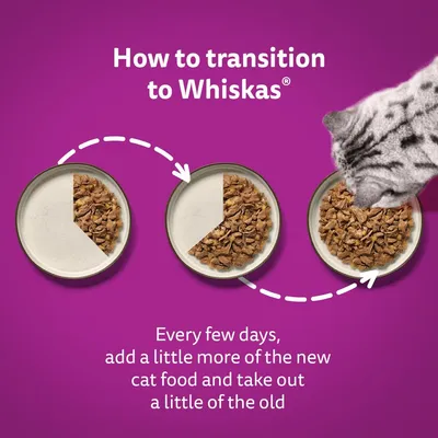 How to transition to Whiskas: gradually add more new cat food and remove some of the old every few days, as shown in three bowls with increasing amounts of new food.