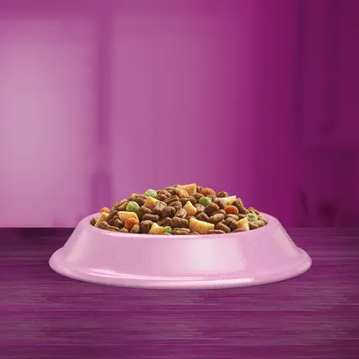 Bowl filled with assorted dry pet food pieces in various shapes and colours, displayed on a purple surface against a purple background.