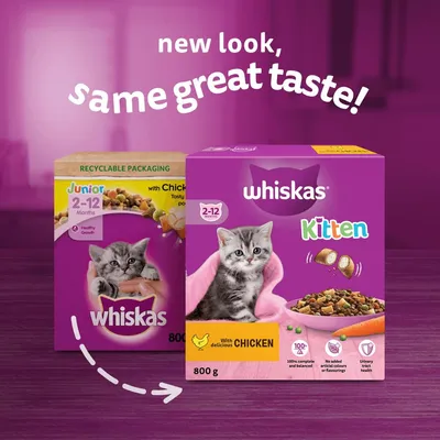 Whiskas kitten food for 2-12 months, new packaging with chicken flavour. Highlights: 100% complete, no added artificial colours or flavourings, supports urinary health. 800g box.