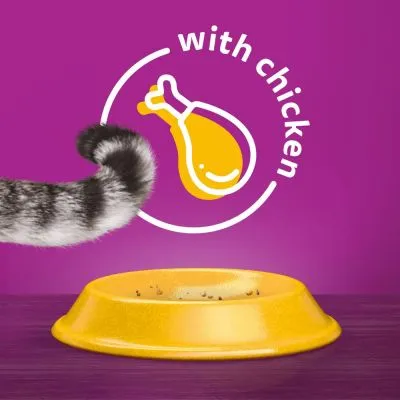 Text: with chicken. Illustration av kycklingklubba, gul matskål och en kattsvans synliga mot lila bakgrund.