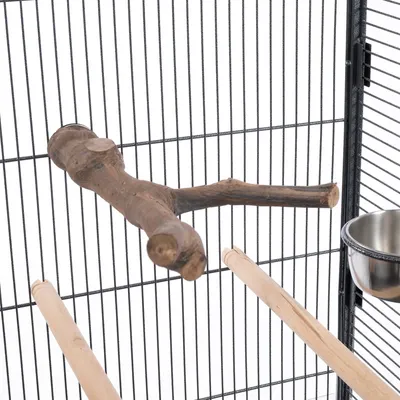 Bird cage with natural wood perch, two wooden perches and stainless steel food bowl. Metal bars.