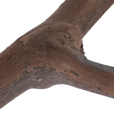 Close-up of a natural piece of wood with branch fork, suitable for decoration or pet accessories.