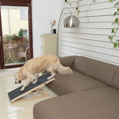 Hond gebruikt een houten loopplank met antislip oppervlak om op een bank te klimmen. Geschikt voor binnen.