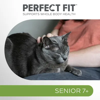 Perfect Fit supports whole body health, suitable for senior 7+ as shown in the image text.