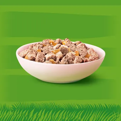 Schüssel mit fleischhaltigem Nassfutter, sichtbar sind Stücke in Sosse auf grünem Hintergrund.