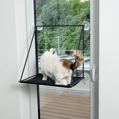 Plateforme pour chat fixée à une fenêtre par ventouses, avec un chat assis dessus. Structure en métal et tissu noir visibles.