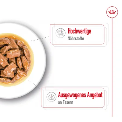 Hochwertige Nährstoffe und ausgewogenes Angebot an Fasern, dargestellt mit Nassfutter in Sosse auf einem Teller.