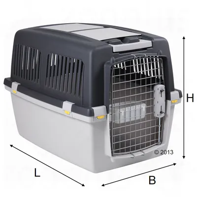 Transport box with grid door, dimensions specified: length (L), width (W), height (H).