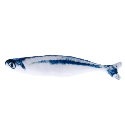 Toy in fish shape, white with blue accents.