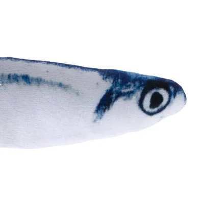 Toy in fish shape with blue and white colouring and detailed eye.