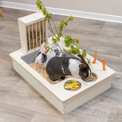 Zwei Kaninchen in einer Holzfütterungsstation mit Heuraufe, Futterschalen für Gemüse und Trockenfutter sowie dekorativem Zweig. Umgebung aus Holzspänen.