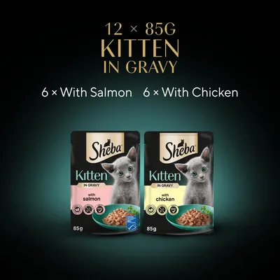 Twelve 85g pouches of kitten food in gravy, six with salmon and six with chicken. Image shows two product packs labelled 'with salmon' and 'with chicken'.
