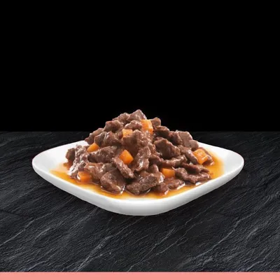 Chunks of meat and vegetables in gravy served on a white dish, showing the texture and appearance of the pet food product.