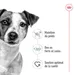 Royal Canin Mini Adulte