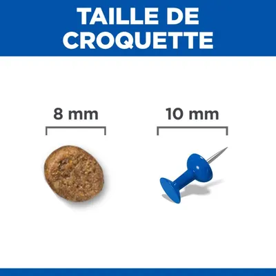 Comparaison de la taille des croquettes : une croquette de 8 mm de diamètre à côté d'une punaise de 10 mm de diamètre. Comparaison de la taille des croquettes : une croquette de 8 mm de diamètre à côté d'une punaise de 10 mm de diamètre.