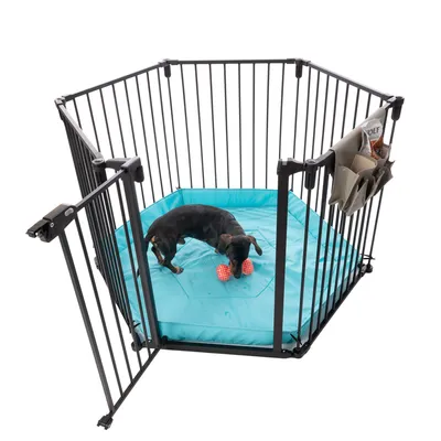 Sechseckiger Laufstall aus Metall mit türkisfarbener Matte, Hund spielt mit rotem Spielzeug. Seitentaschen für Zubehör wie Zeitschriften sichtbar.