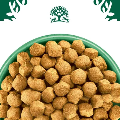 Bowl filled with round, brown dry food pieces. Brand tree and animal symbol shown above the bowl.