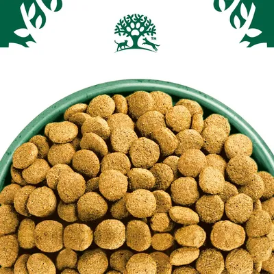 Bowl filled with round dry pet food kibble, shown from above. Green tree and animal emblem displayed above the bowl.