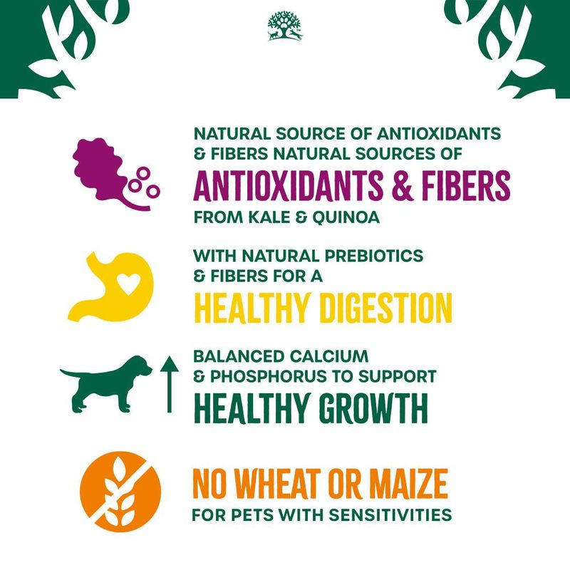 James Wellbeloved Puppy/Junior Hypoallergenic Superfoods - Turkey with Kale & Quinoa