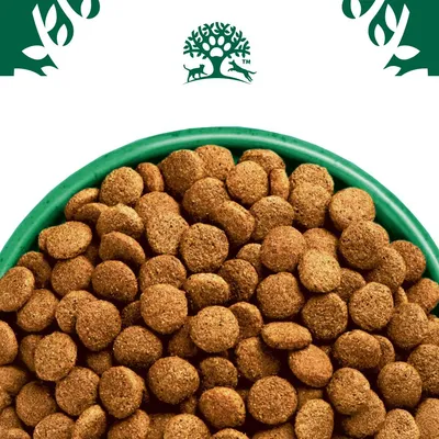 Bowl filled with round dry pet food kibble, shown close up to display texture and shape. Brand tree and animal symbol visible above the bowl.