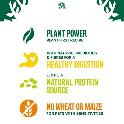 Plant first recipe with natural prebiotics and fibres for healthy digestion, lentil as a natural protein source, no wheat or maize for pets with sensitivities.