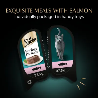 Exquisite meals with salmon, individually packaged in handy trays. Two 37.5g portions shown, one with food image and one with a cat illustration.