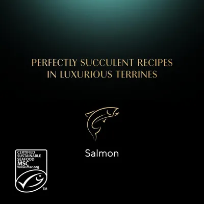 PERFECTLY SUCCULENT RECIPES IN LUXURIOUS TERRINES. Salmon. Certified Sustainable Seafood MSC www.msc.org