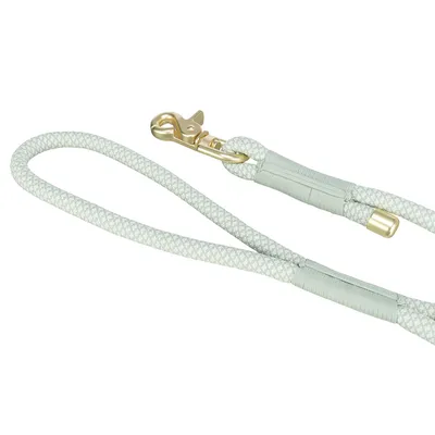 Hellgraue Hundeleine aus geflochtenem Seil mit goldfarbenem Karabinerhaken und Schlaufe.